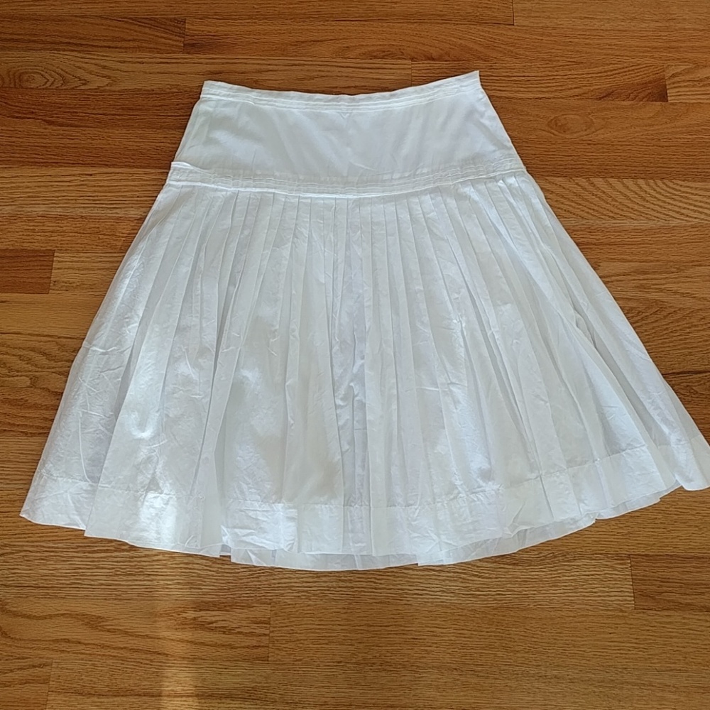 J Crew Skirt
